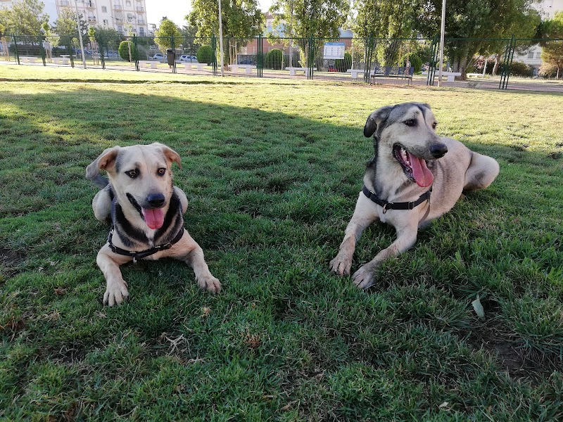 Parque Canino - Antonio Machado