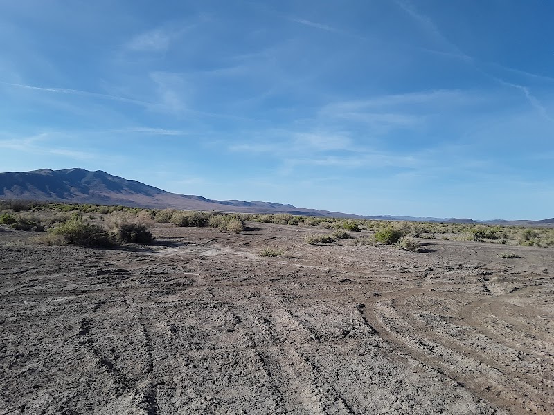 Fernley Wildlife Management Area - Photo 2