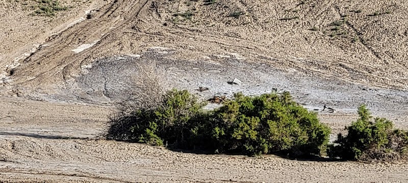 Fernley Wildlife Management Area - Photo 6
