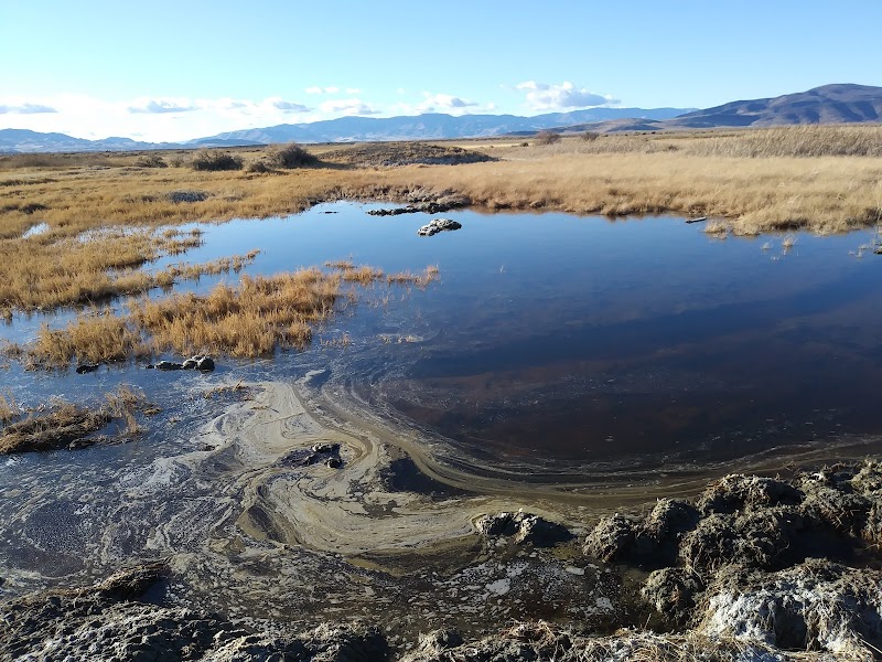 Fernley Wildlife Management Area - Photo 1