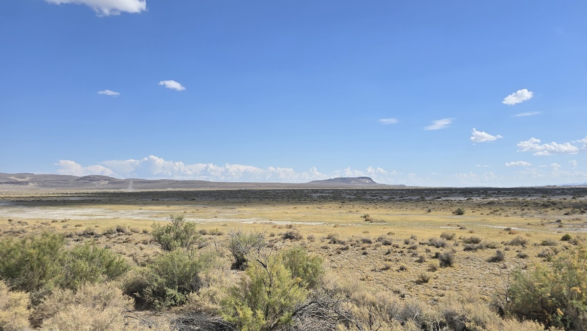 Fernley Wildlife Management Area