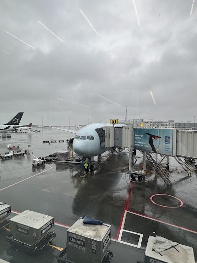 Air Canada Maple Leaf Lounge (Domestic) — Google photo 1