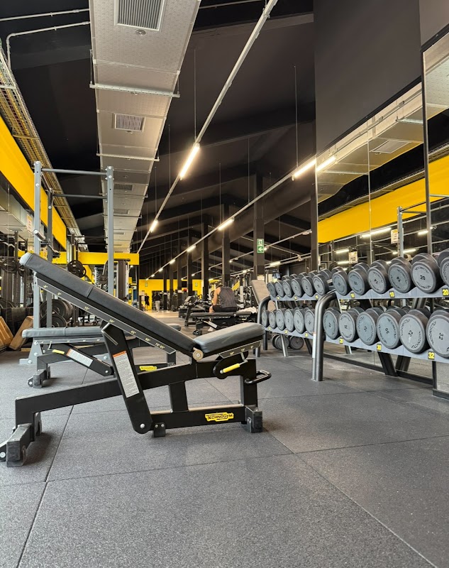 Fit Express Siena