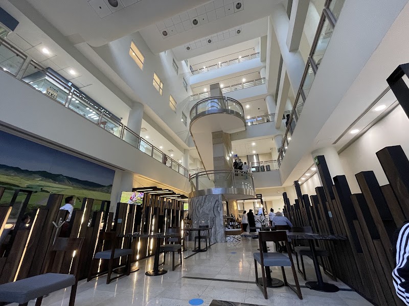 Gallery 5