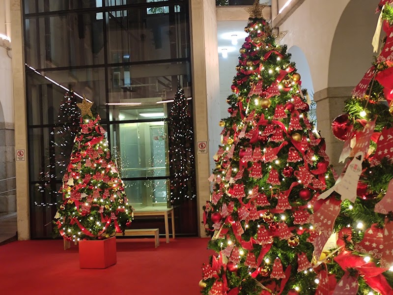 Bosque de los Deseos