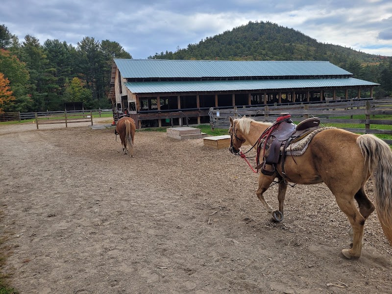 Mountain View Rocking B Ranch (formerly Bennett's Riding Stable) - Photo 3