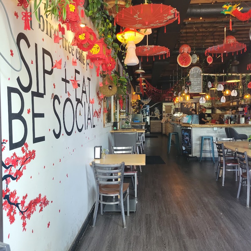 Bird Tree Cafe photo 3