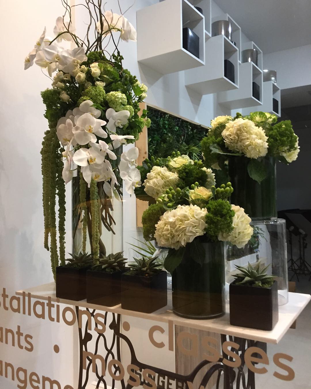 Floralinea: Google Places image 5
