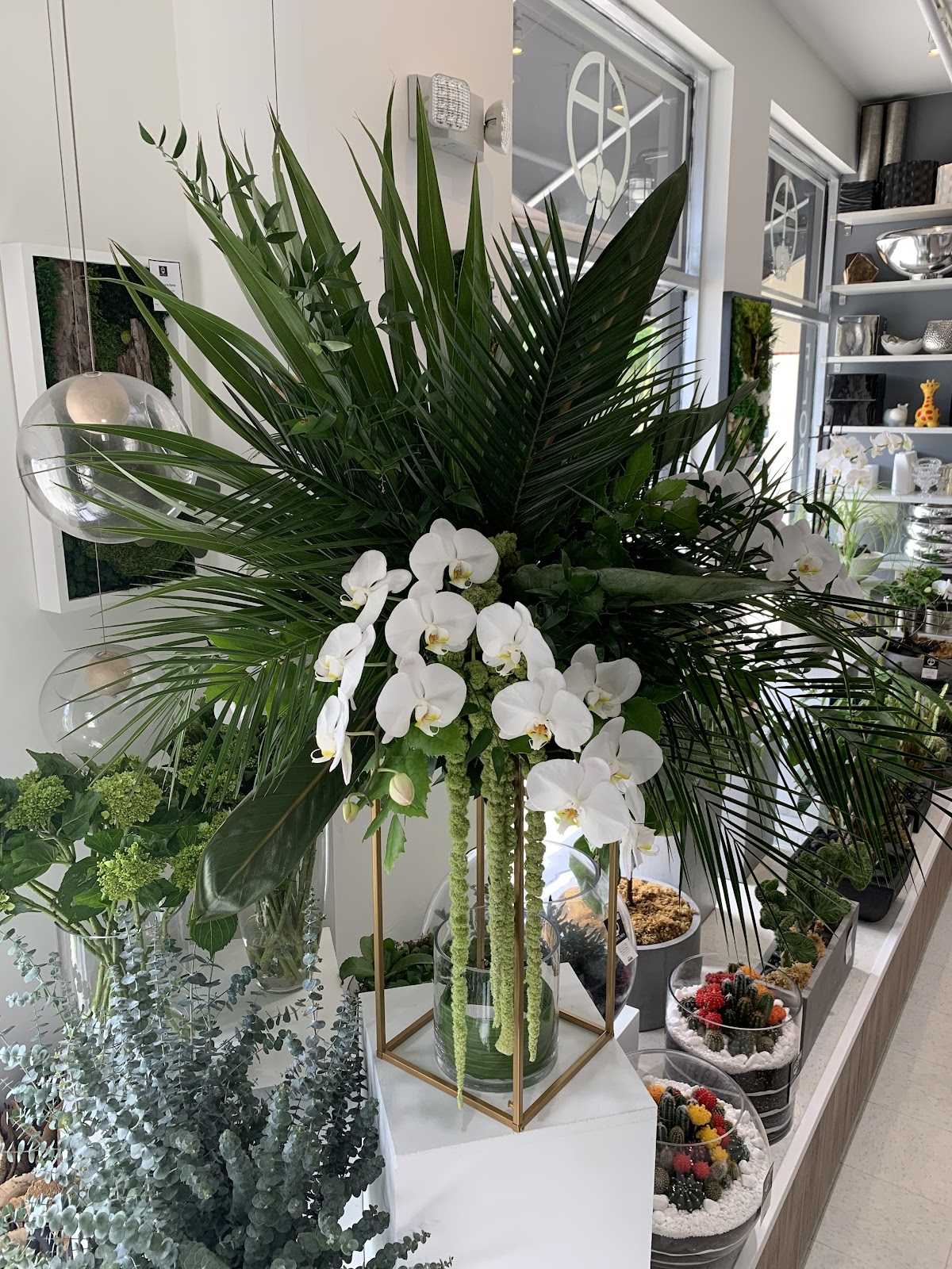 Floralinea: Google Places image 4