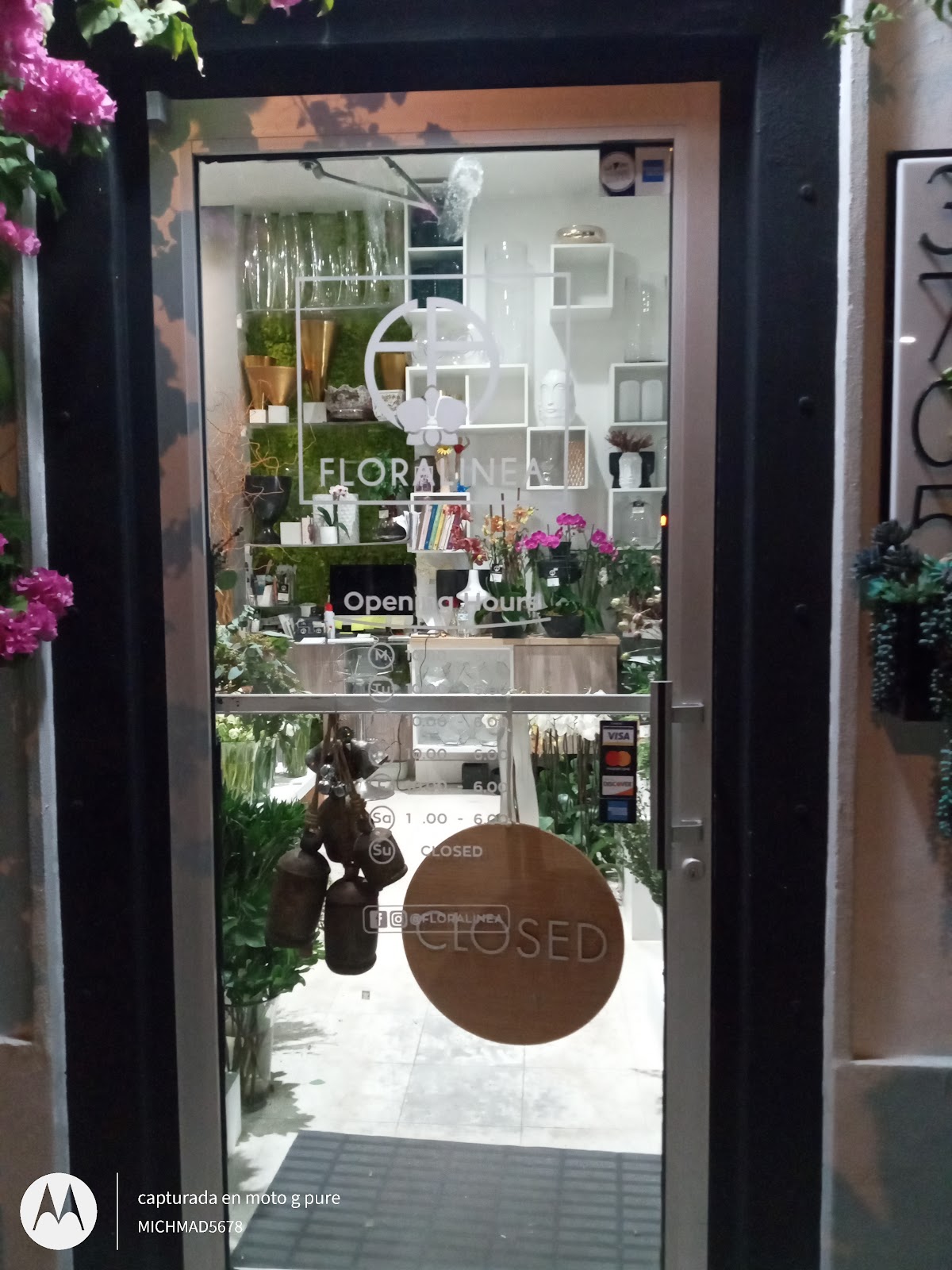 Floralinea: Google Places image 1