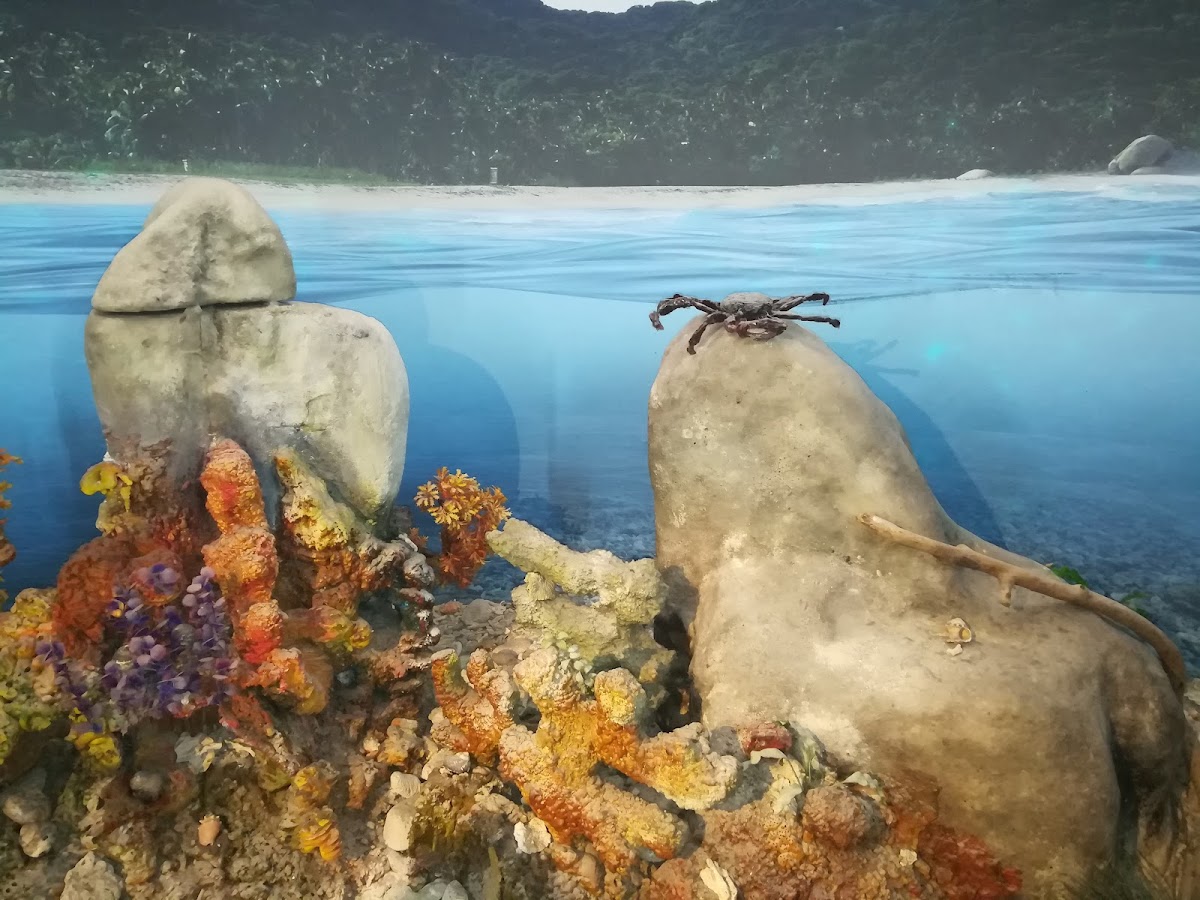 Museo del Agua EPM