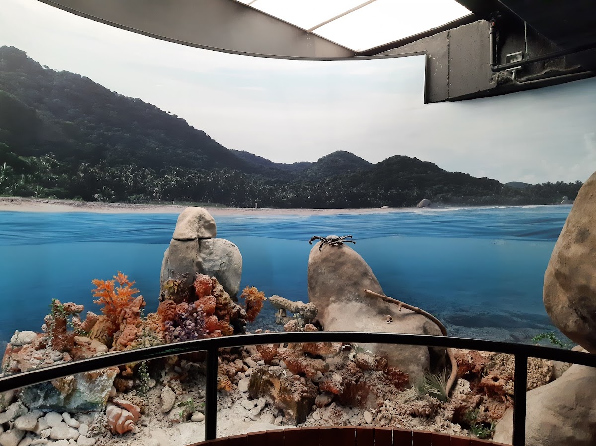 Museo del Agua EPM