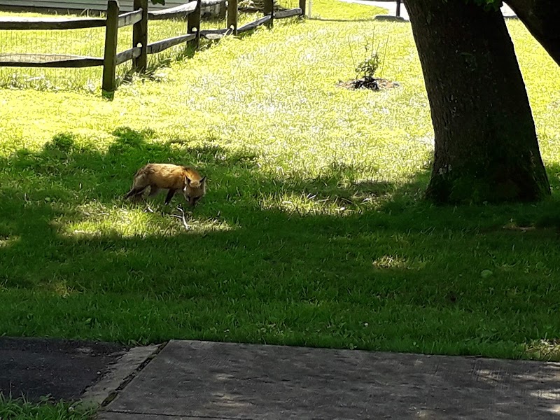 Southeast Olney Local Park photo 5