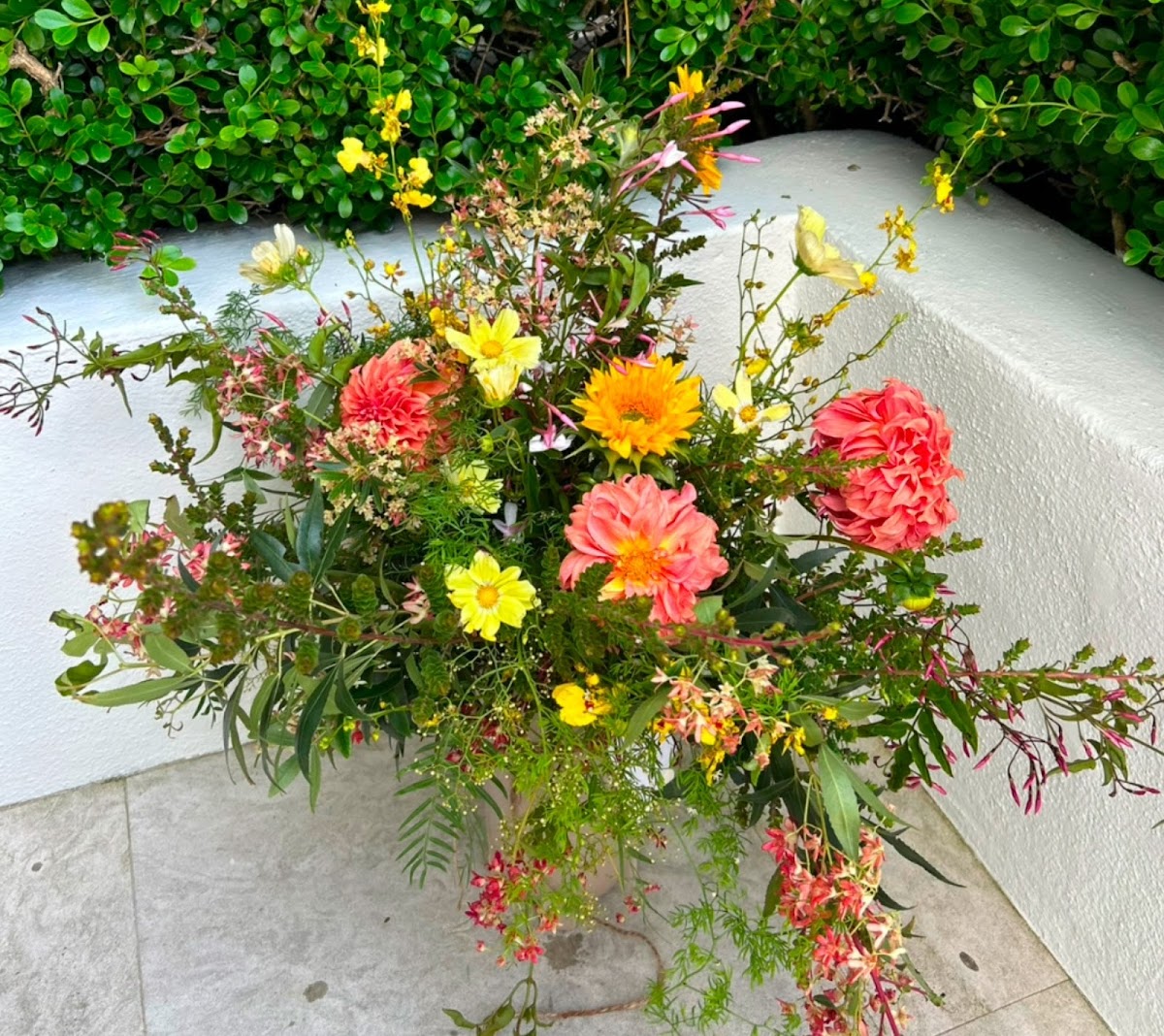 Bloomdega: Google Places image 4