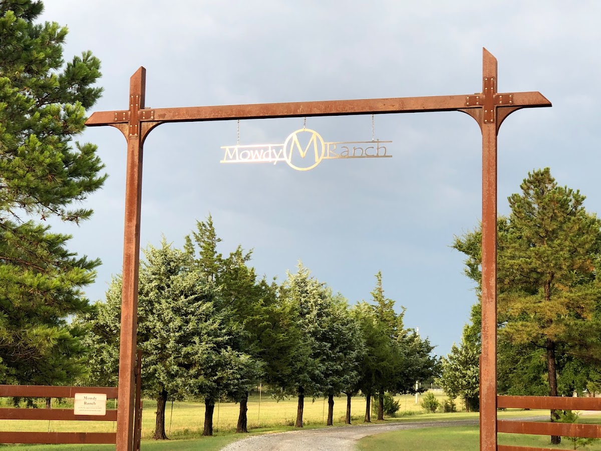 MOWDY RANCH MUSTANGS - Appt Only