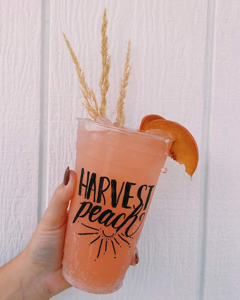 The Local Brew Coffee Shop photo 4