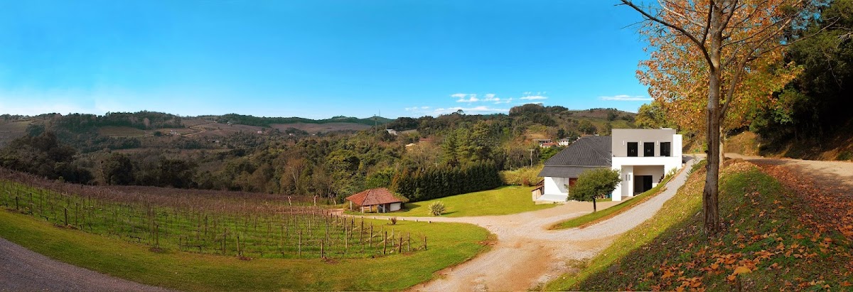 PIZZATO Vines and Wines (Pizzato Winery Ltd.)