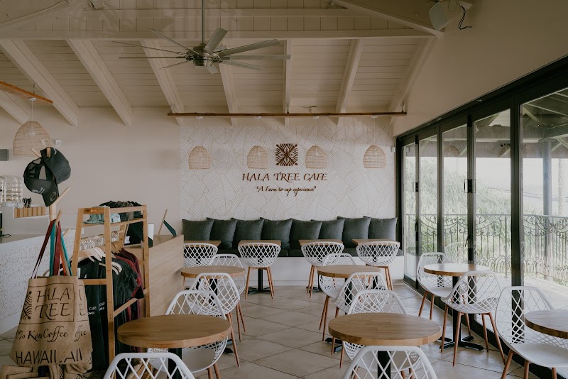 Hala Tree Cafe photo 4