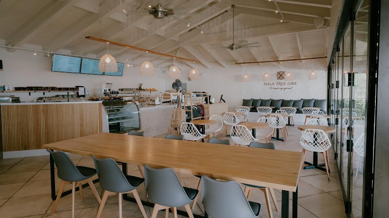 Hala Tree Cafe photo 1
