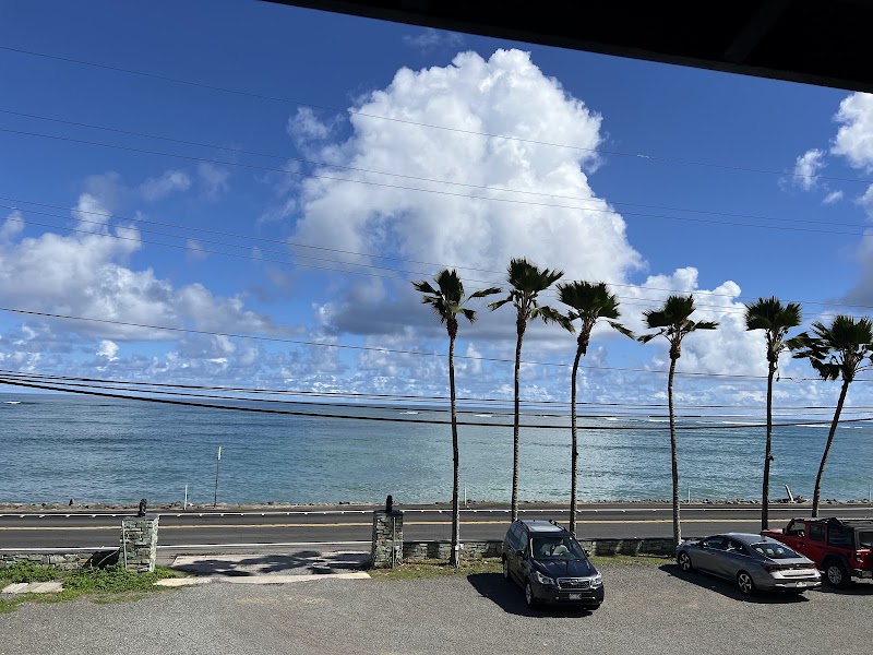 Hala Tree Cafe photo 4
