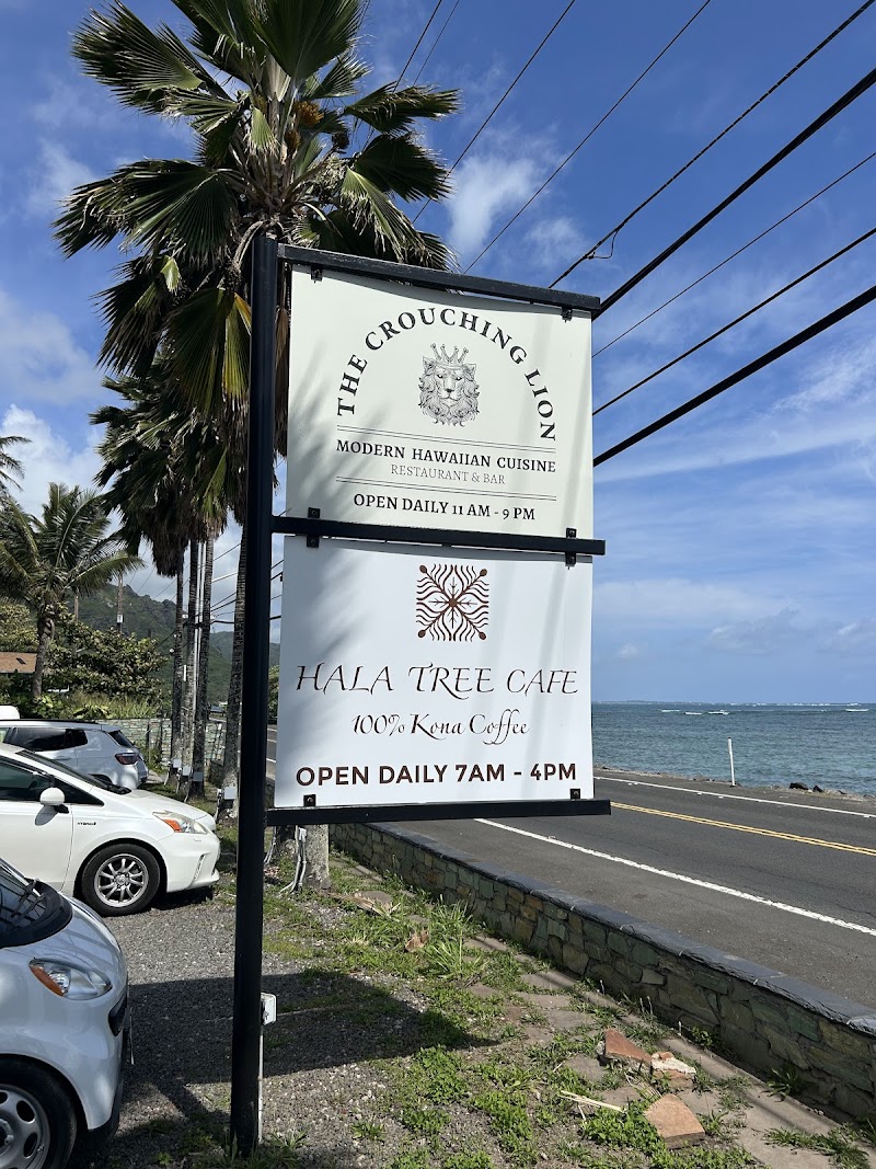 Hala Tree Cafe photo 4