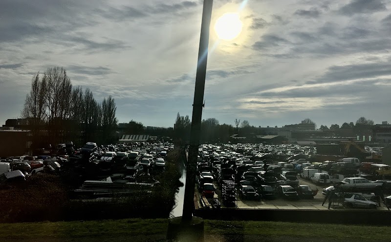 Het Lage Land