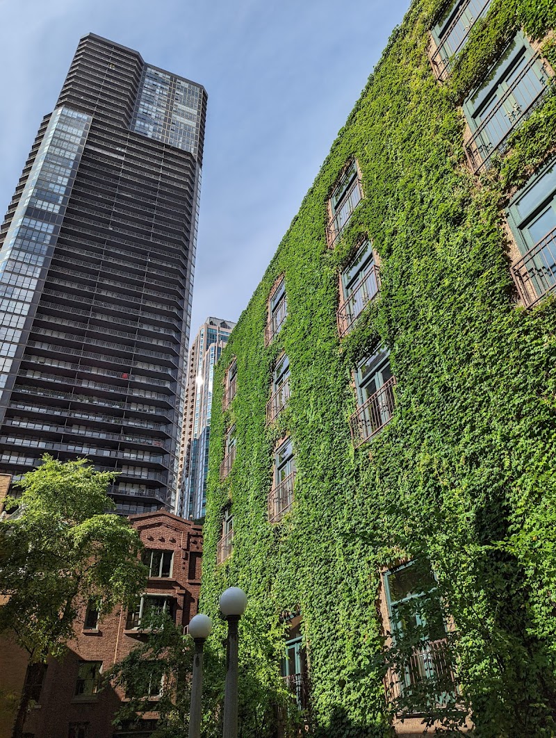 The Ivy Room At Tree Studios photo 3