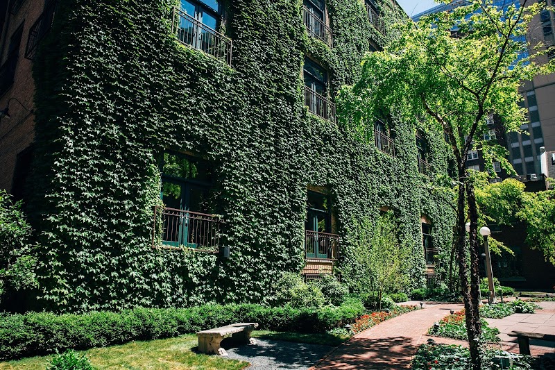 The Ivy Room At Tree Studios — Event Venue in Chicago