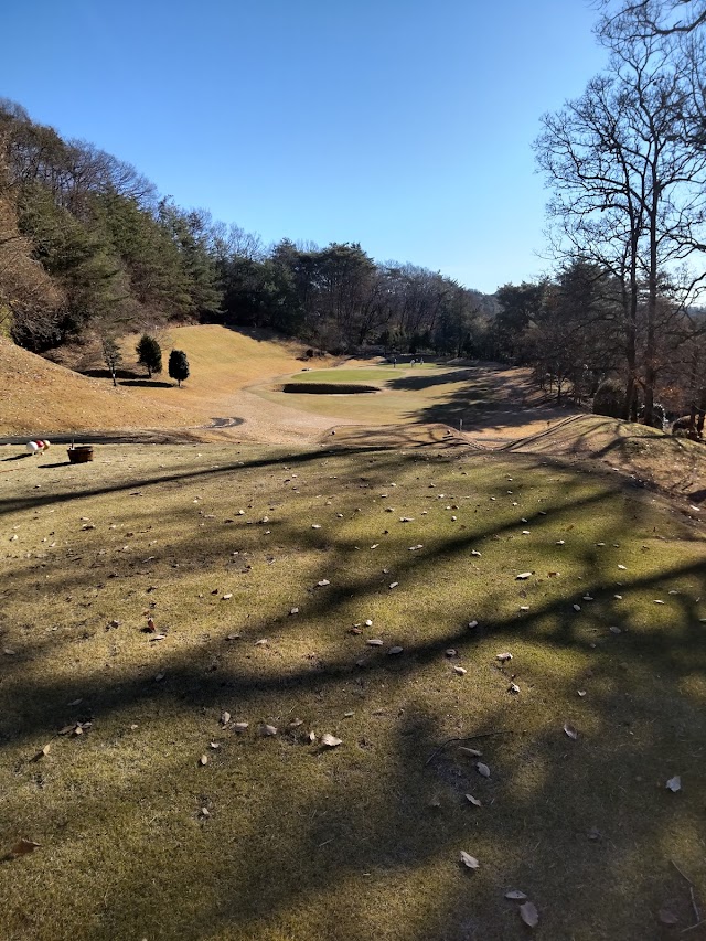 Ota Futaba Country Club - Photo 10