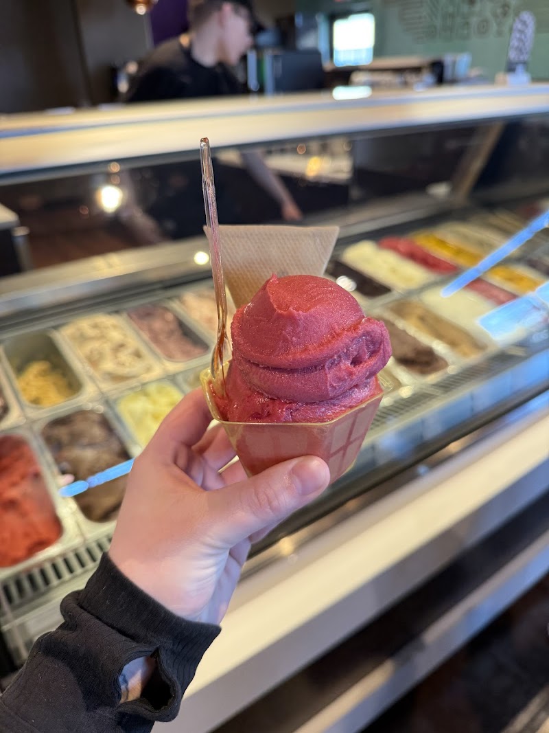 Cocoa Dolce Chocolates photo 4