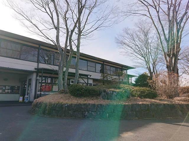 Ikaho Golf Club - Photo 10