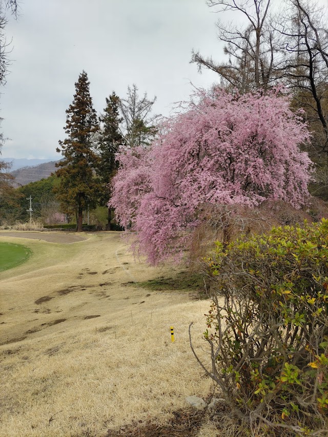 Kofu International Country Club - Photo 8