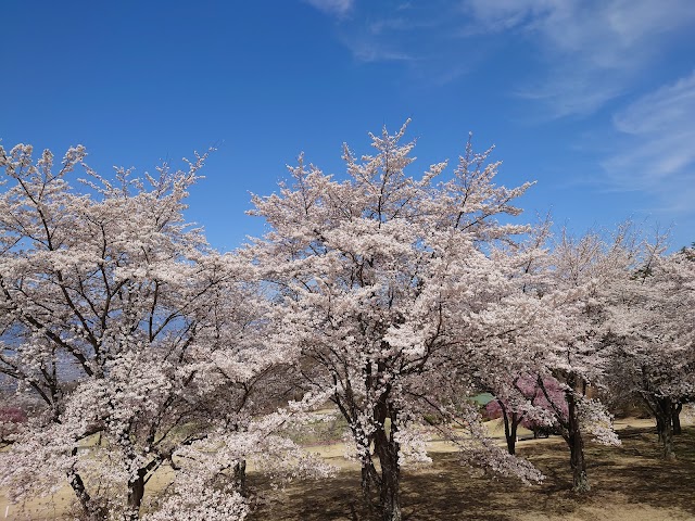 Kofu International Country Club - Photo 7