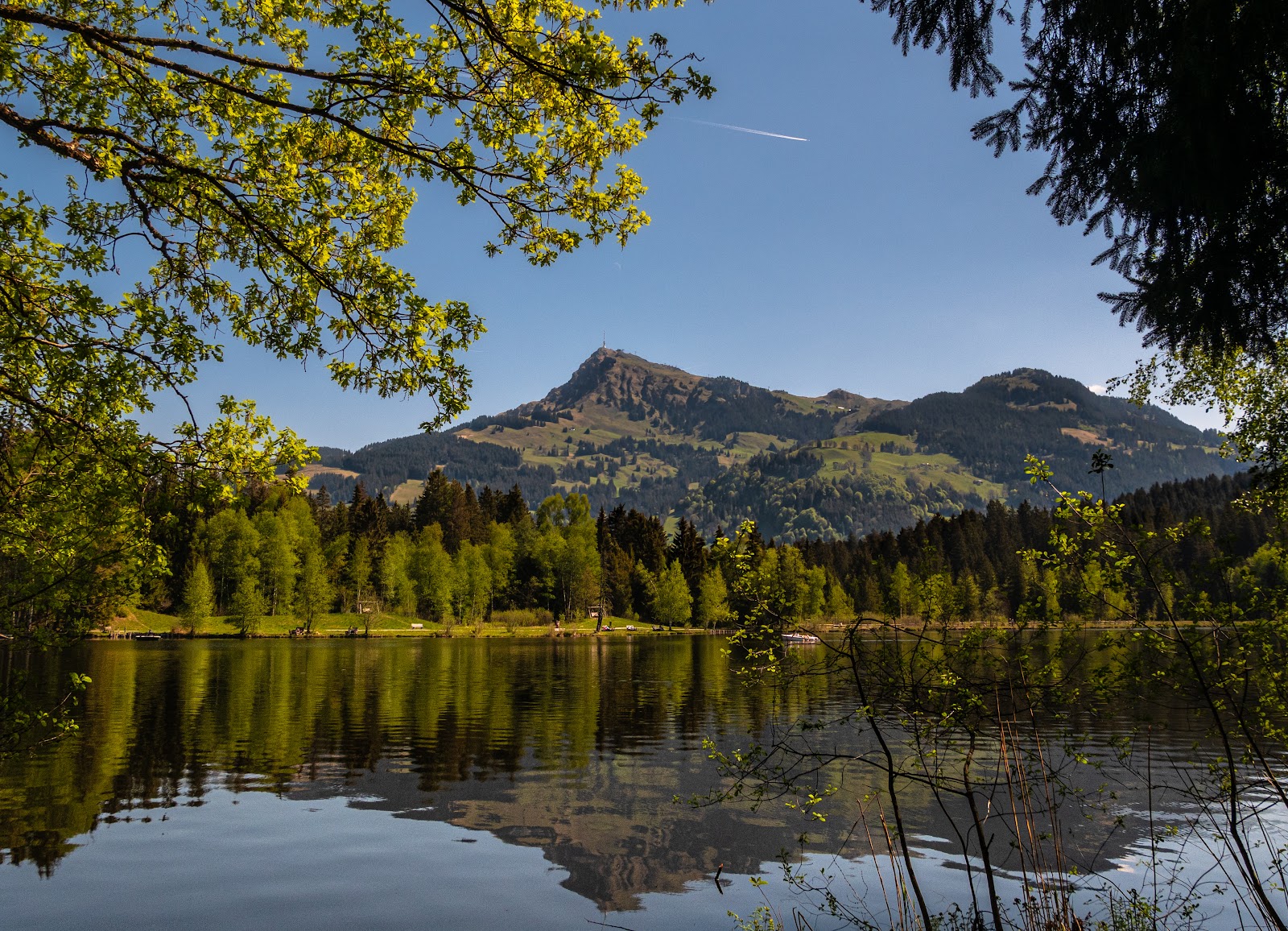 Best Dog-Friendly Hotels in Kitzbühel, Austria