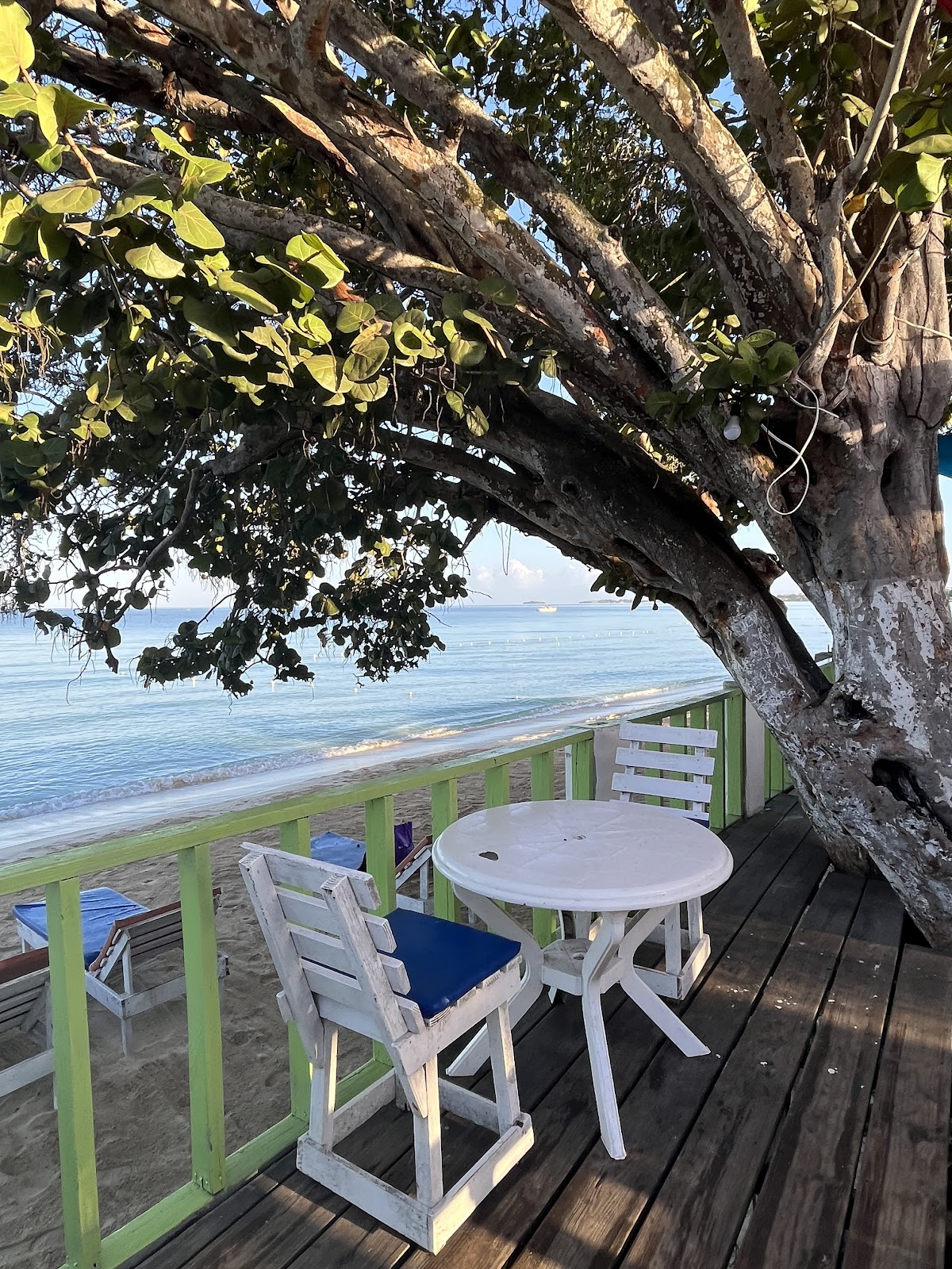 1Fusion Negril Restaurant and Bar in jamaica