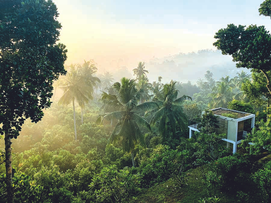 Suvarivi Ayurveda Boutique-Hotel — 4
