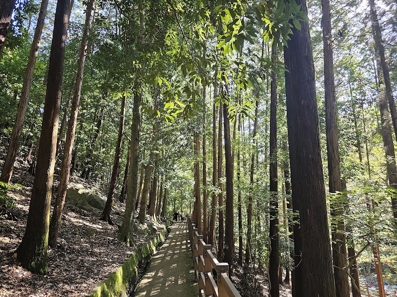 부산어린이대공원 사진 3