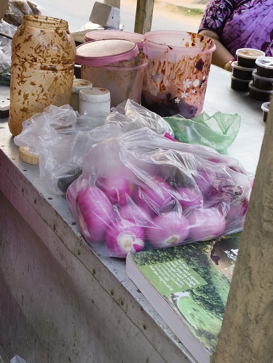 Diya Chanachur Google photo 2