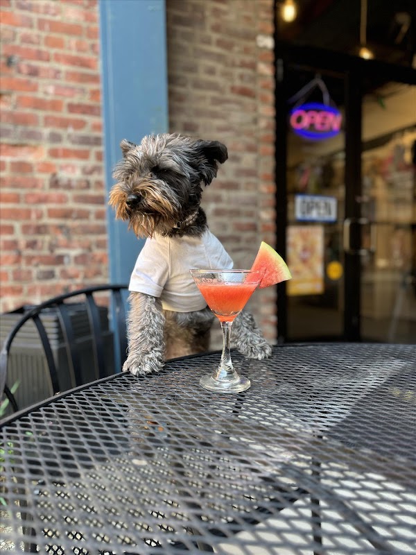 Photo by Lux Dior Co