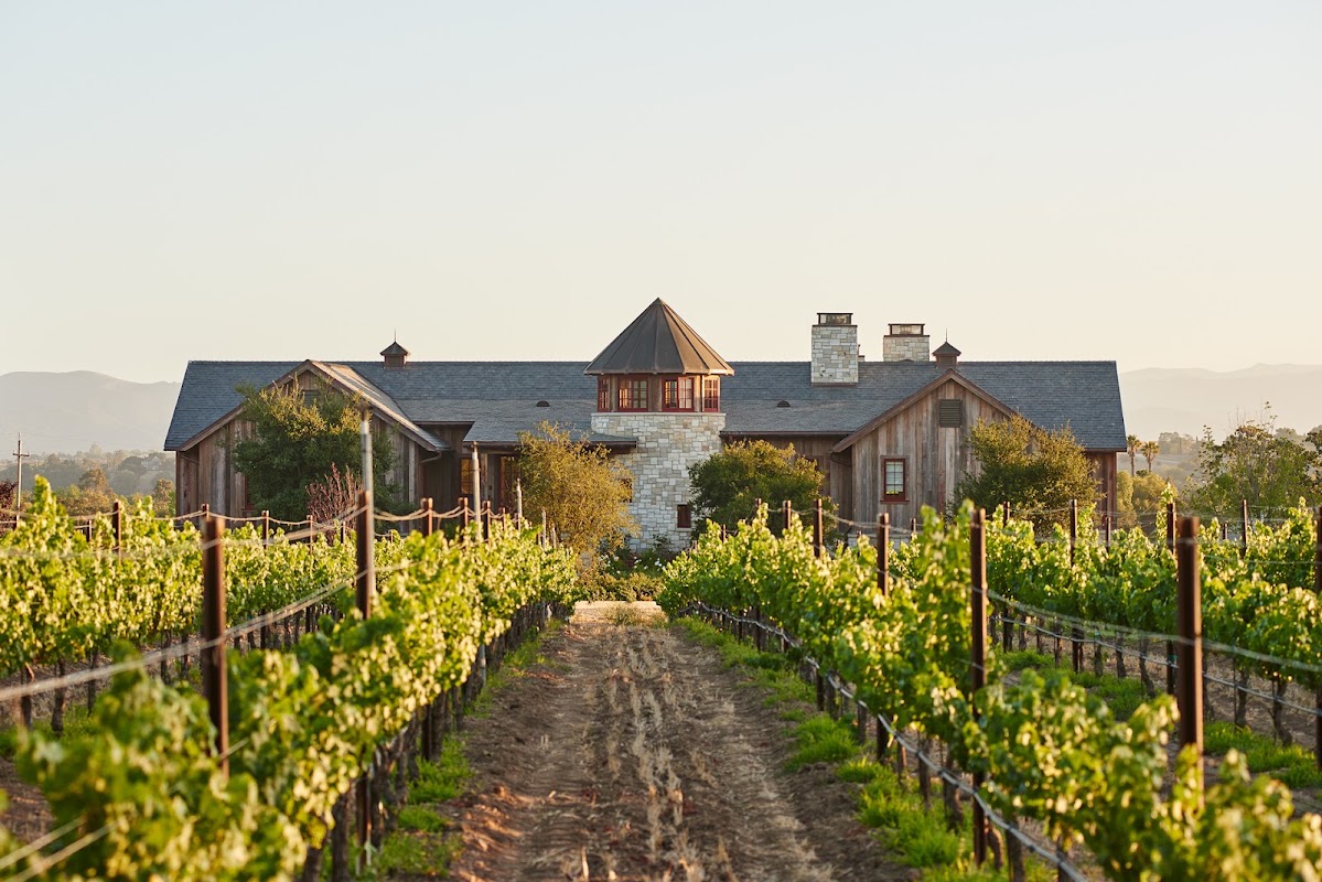 Beckmen Vineyards