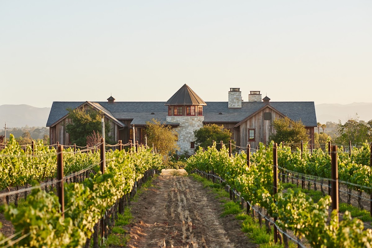 Beckmen Vineyards