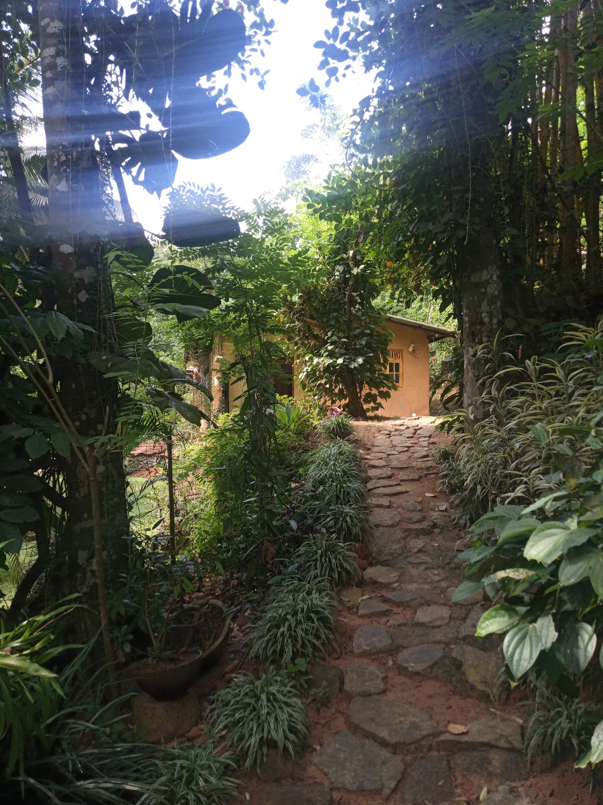Doowa Yoga Center — 4