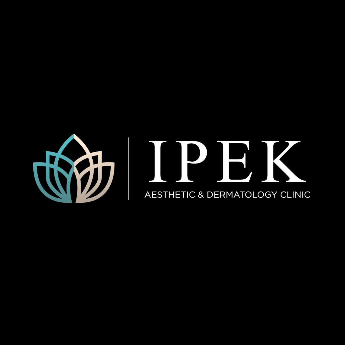 Ipek Aesthetic & Dermatology Clinic 3