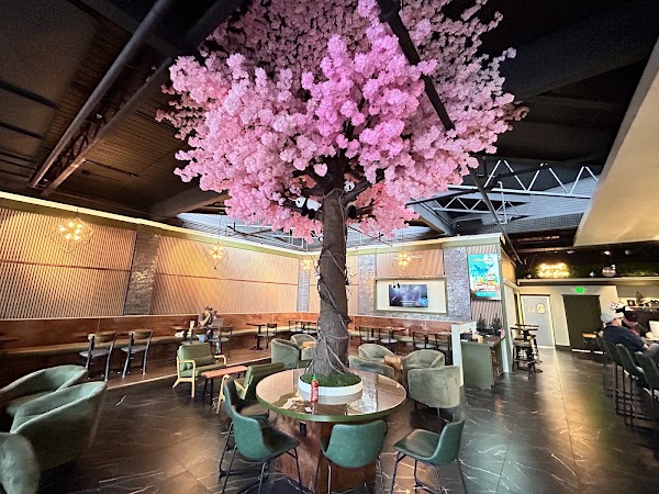 Pandacorn Cafe