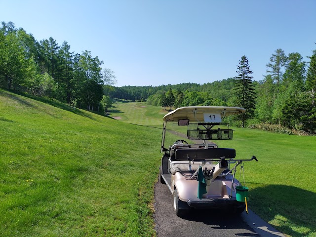 Rusutsu Resort Golf 72 Riverwood Course - Photo 8