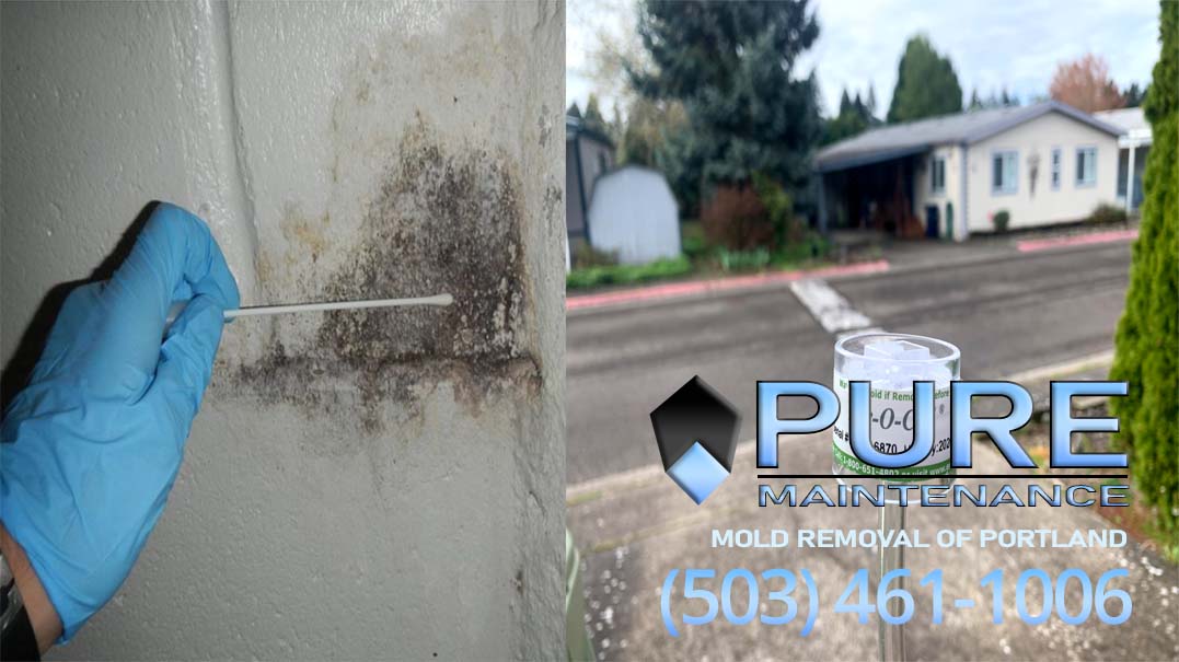 Pure Maintenance Portland — photo