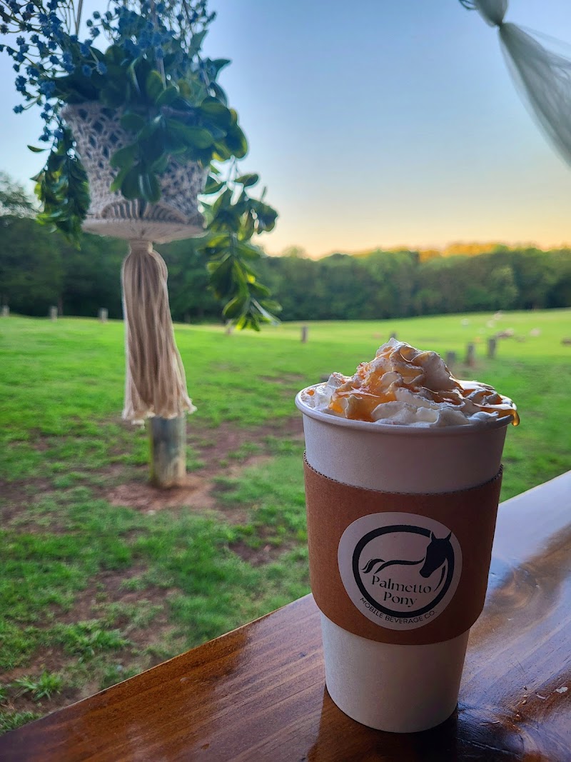 Palmetto Pony photo 2