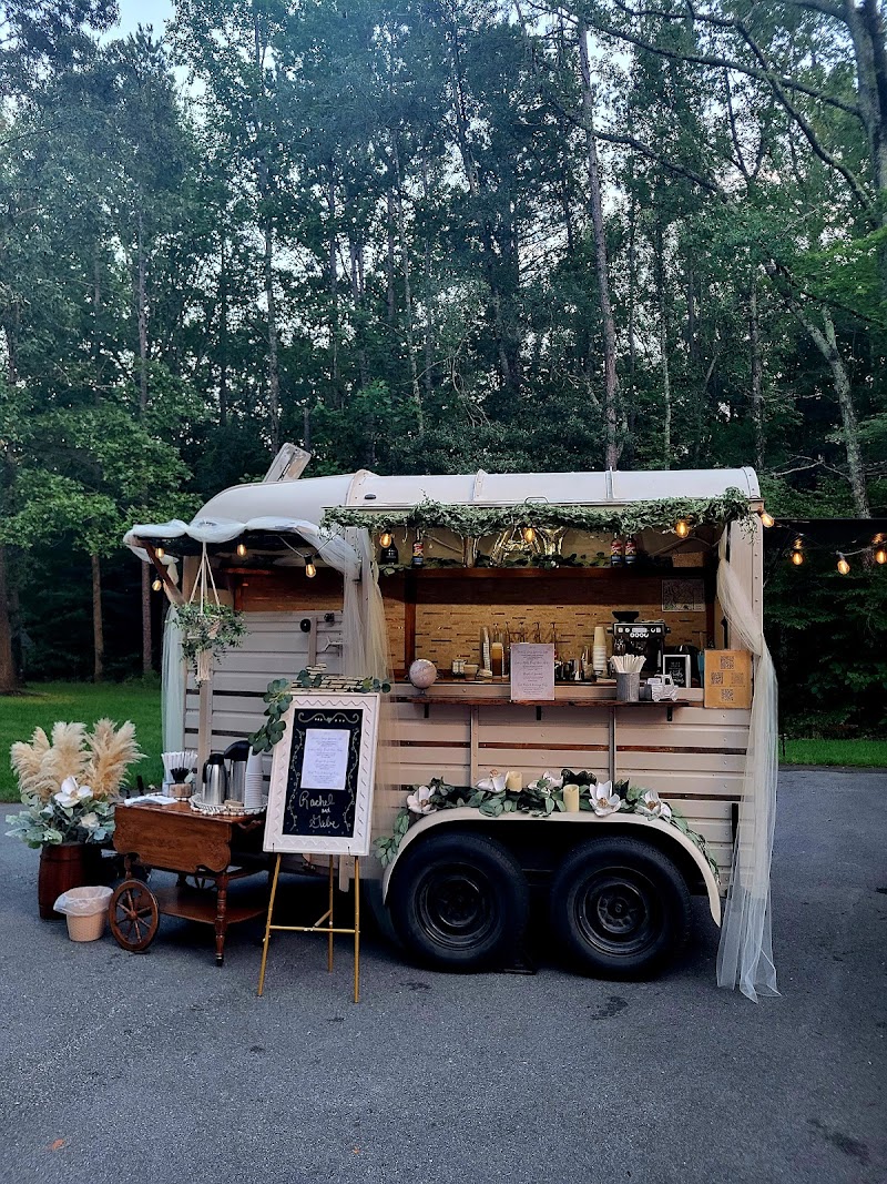 Palmetto Pony photo 4