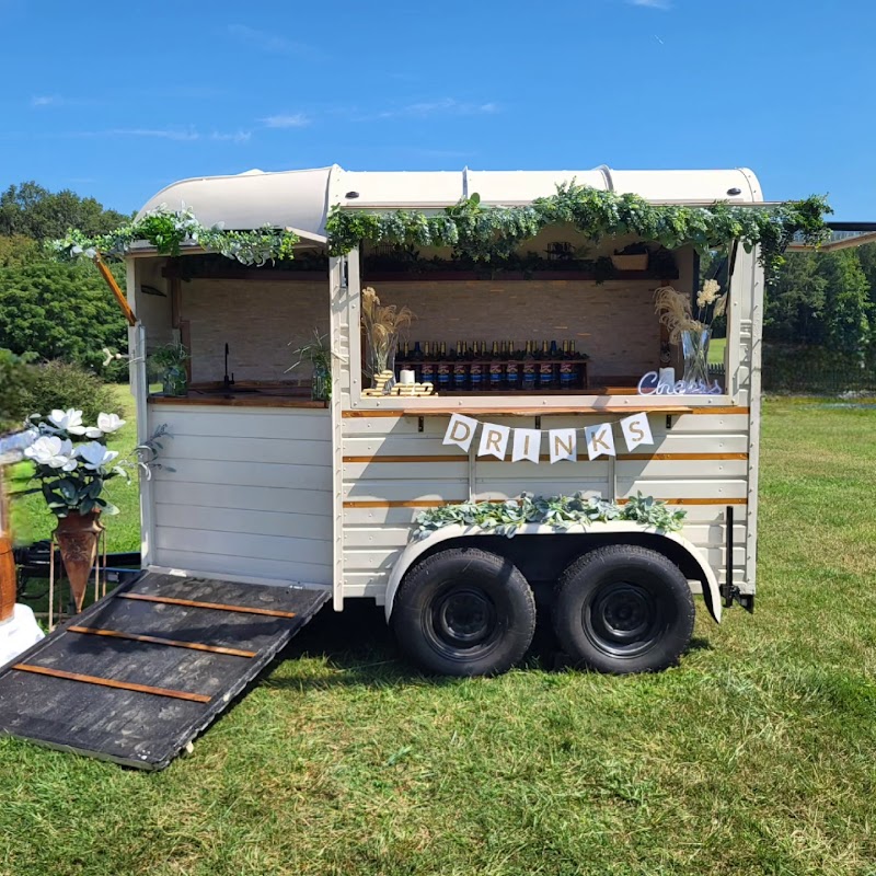 Palmetto Pony photo 3