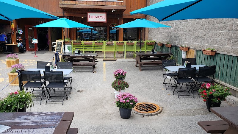 Harvest Cafe photo 1